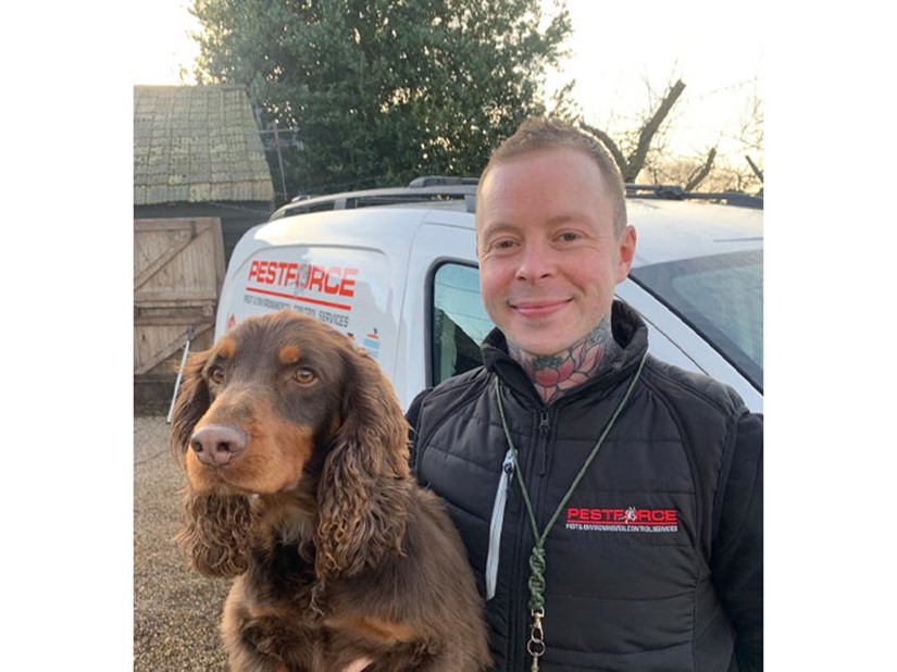 Pestforce Ipswich